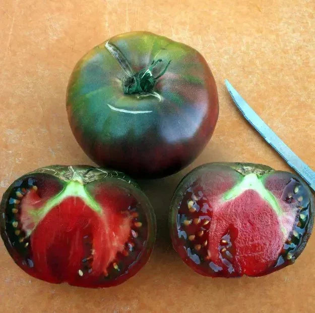 Black From Tula Tomato Seeds - 120+ Heirloom Organic Non-GMO Rare Variety