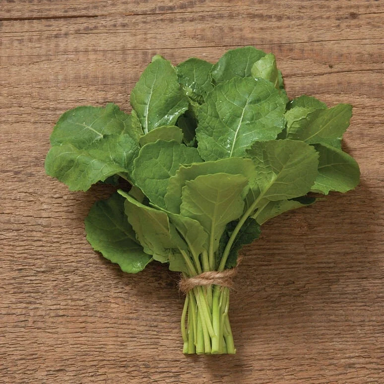 Ethiopian Kale Seeds - Non-GMO Heirloom Brassica Carinata - Organic, High Germination, Full Sun, Packet of Seeds