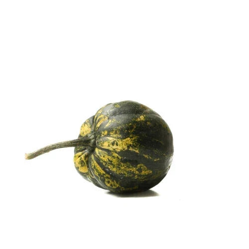 Starry Night Squash Seeds - 25+ Heirloom Cucurbita pepo for Garden Planting, Vining, Unique Dark Green & White Speckled Fruit