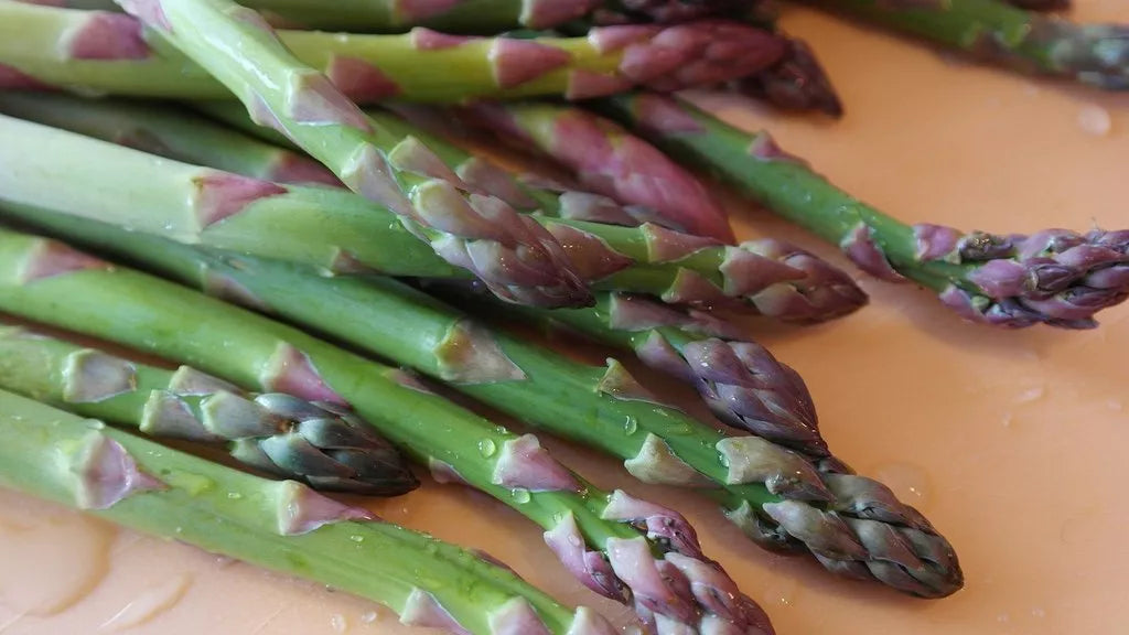 Mary Washington Asparagus Seeds | NON-GMO Heirloom Asparagus officinalis