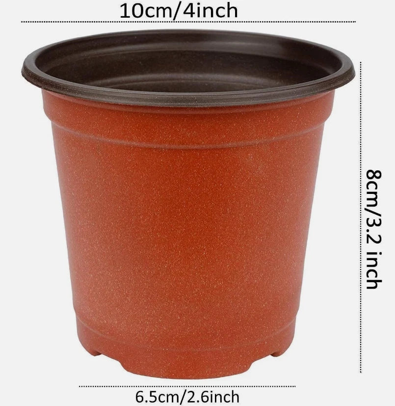 75 Pcs Plastic Nursery Pots for Succulents and Seedlings, 3-Inch Plant Starting Pots for Transplanting and Gardening