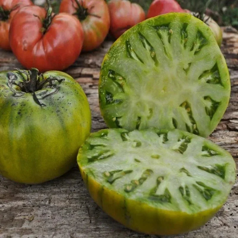 Cherokee Green Tomato Seeds - 10+ Heirloom Non-GMO Rare Variety