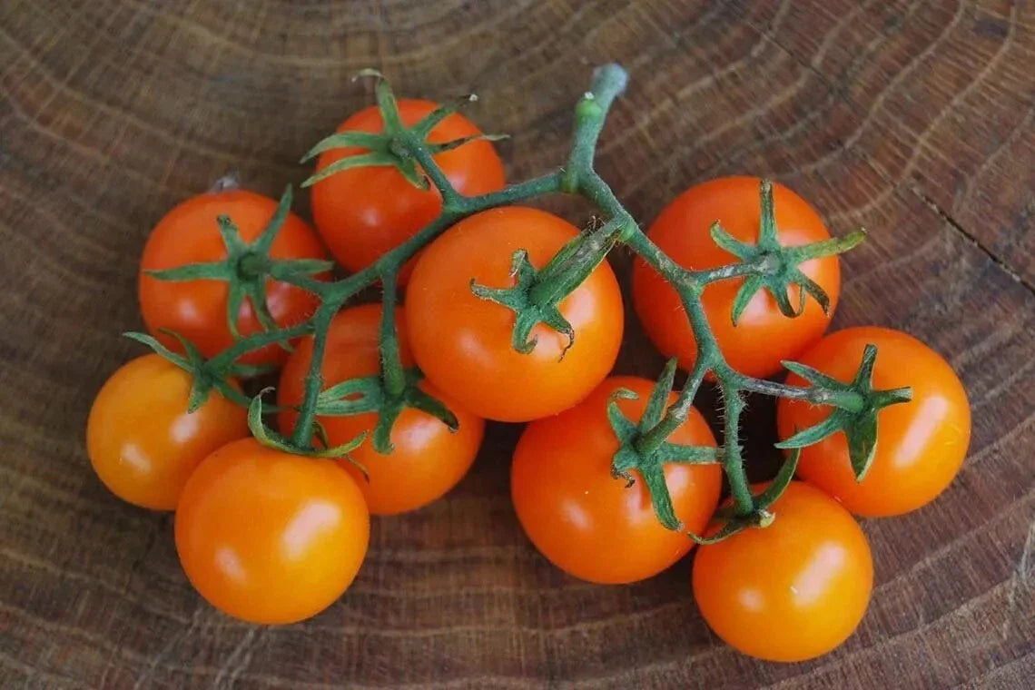 Orange Cherry Tomato Seeds - 120+ Heirloom, Non-GMO, Organic Seeds for Home Gardening