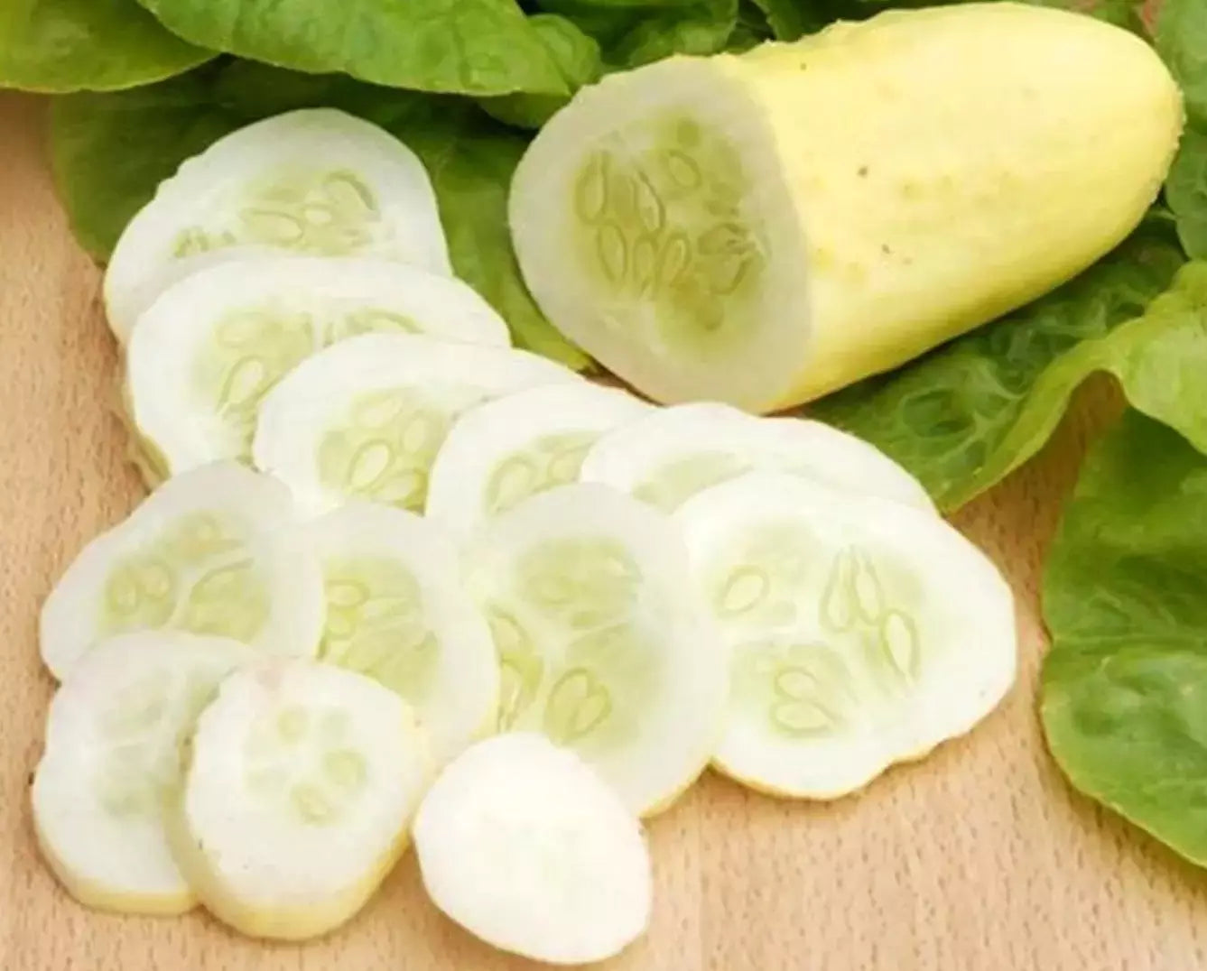 White Wonder Cucumber Seeds - Organic Heirloom Non-GMO Rare Variety - 100+ Seeds