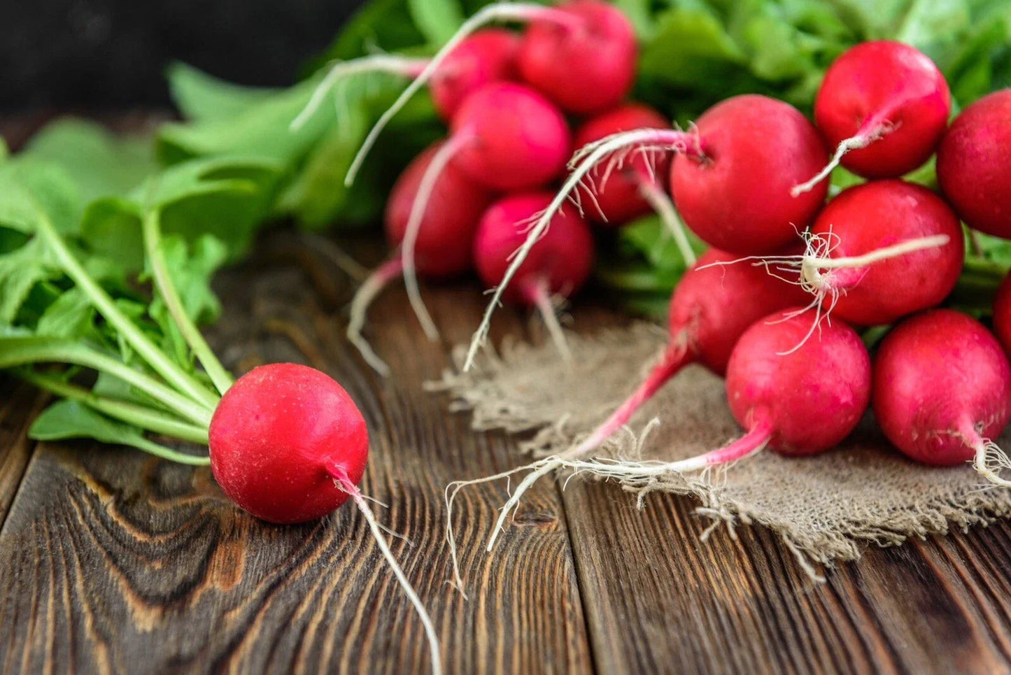 Cherry Belle Radish Seeds – Organic Non-GMO Heirloom Raphanus sativus, Pack of 200+ Seeds for Home Garden, Fast-Growing, USA Free Shipping