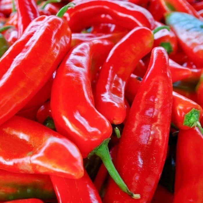 Red Marconi Sweet Pepper Seeds 50+ Non-GMO Capsicum annuum Vegetable Garden USA