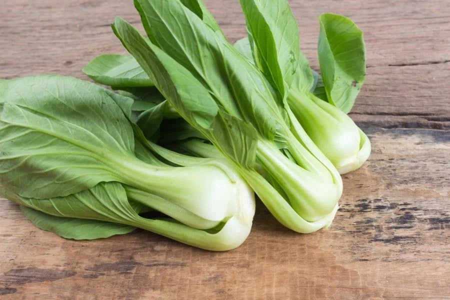 Canton Pak Choi Seeds 2g - Chinese Cabbage Variety Brassica rapa subsp. chinensis for Home Garden, Salad, Stir-Fry