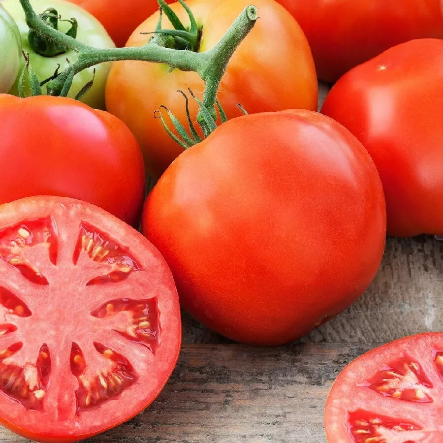 Giant Tomato Seeds - 100+ Count - Indeterminate Non-GMO Seeds for Home Gardening (USA)