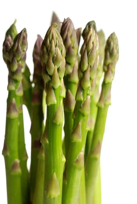 Asparagus Seeds - Mary Washington Heirloom Variety - Non-GMO, Perennial, Asparagus officinalis, Full Sun, 50 Seeds