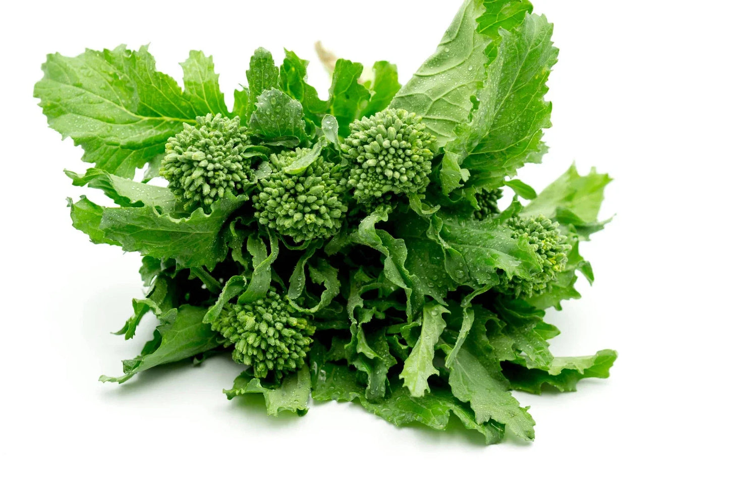 Non-GMO Broccoli Raab Seeds, Brassica rapa, Heirloom Variety, Vegetable Seeds for Gardening