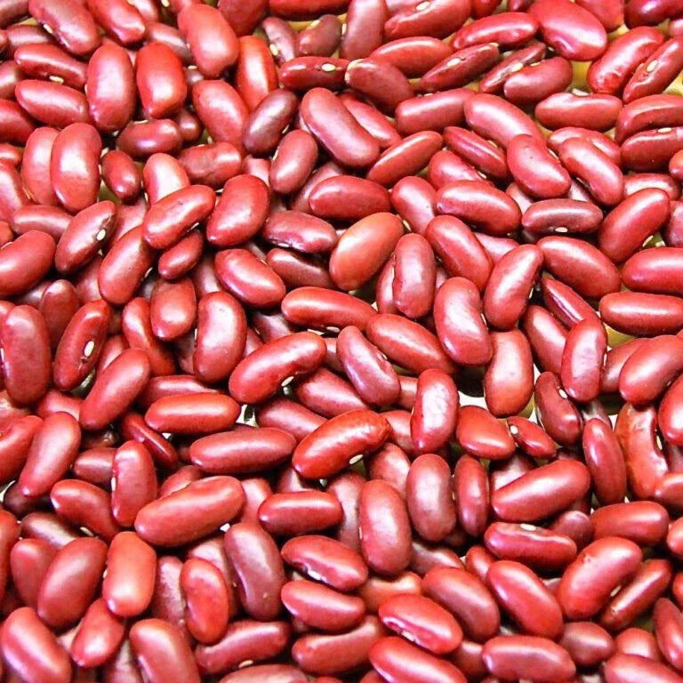 Kidney Bean Seeds Set of 100+ | Non-GMO Phaseolus vulgaris Seeds for Home Gardening