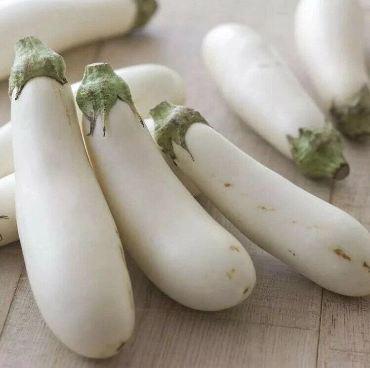 White Long Eggplant Seeds - 15 Solanum melongena Heirloom Vegetable Seeds for Home Gardening