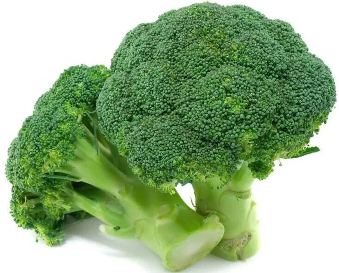 1000+ Broccoli Seeds - Waltham 29 Heirloom Organic Non-GMO Vegetable Seeds