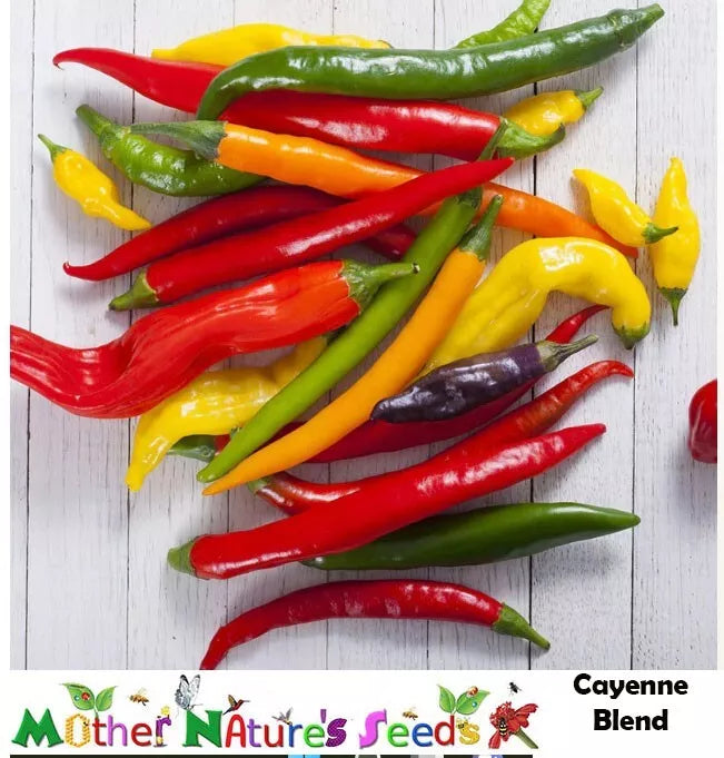 Cayenne Hot Pepper Seeds - Fiesta Blend, Non-GMO, 90 Seeds, Capsicum annuum, Spicy Chili for Garden & Culinary Use