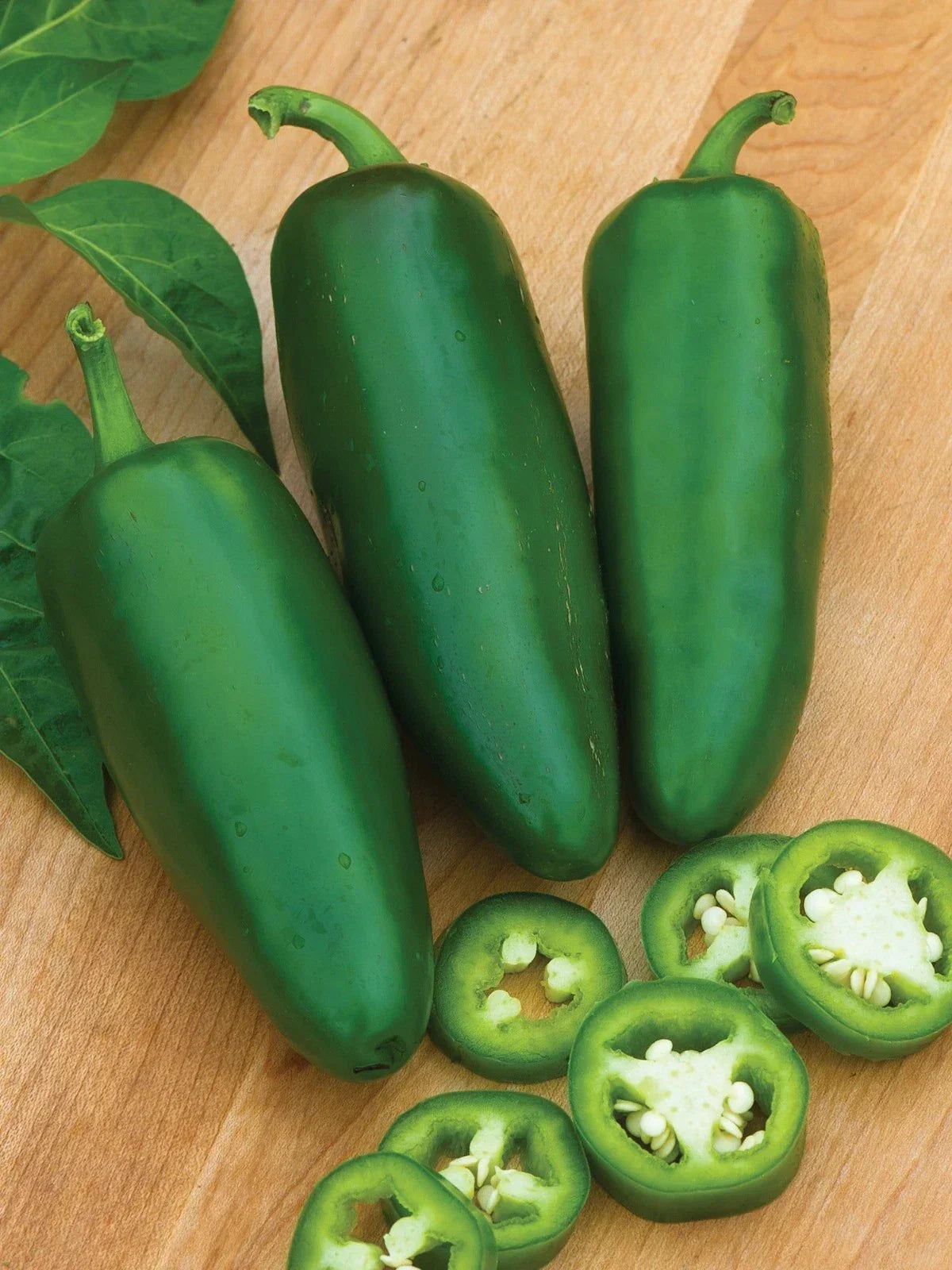 Tam Jalapeno Pepper Seeds - Organic Heirloom Non-GMO Capsicum annuum