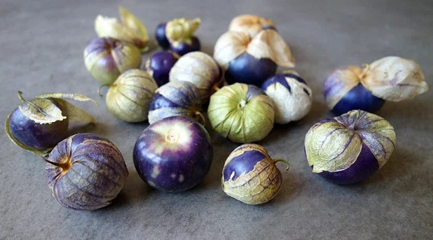 Purple Tomatillo Seeds – Heirloom Physalis ixocarpa for Salsa, 20 Seeds Packet, Easy to Grow, Vibrant Purple Fruits, Container Friendly
