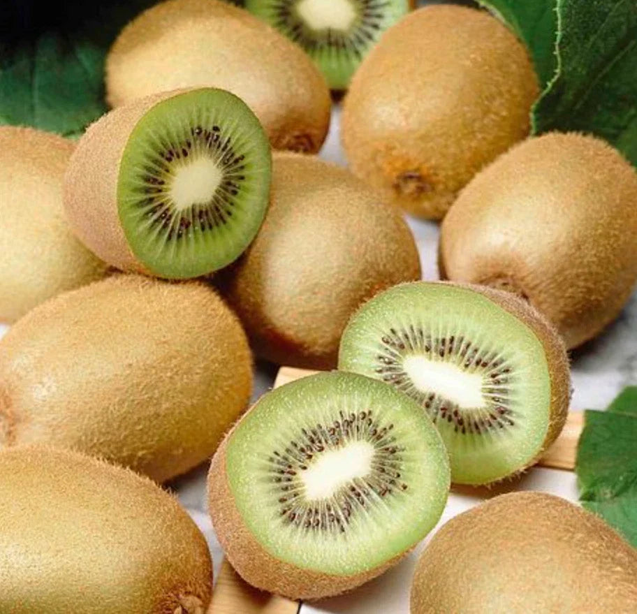 Set of 4 Live Prolific Kiwi Trees – Soil-Wrapped Roots – Actinidia deliciosa – Fruit-bearing, Climbing Vine, Garden or Patio Plant
