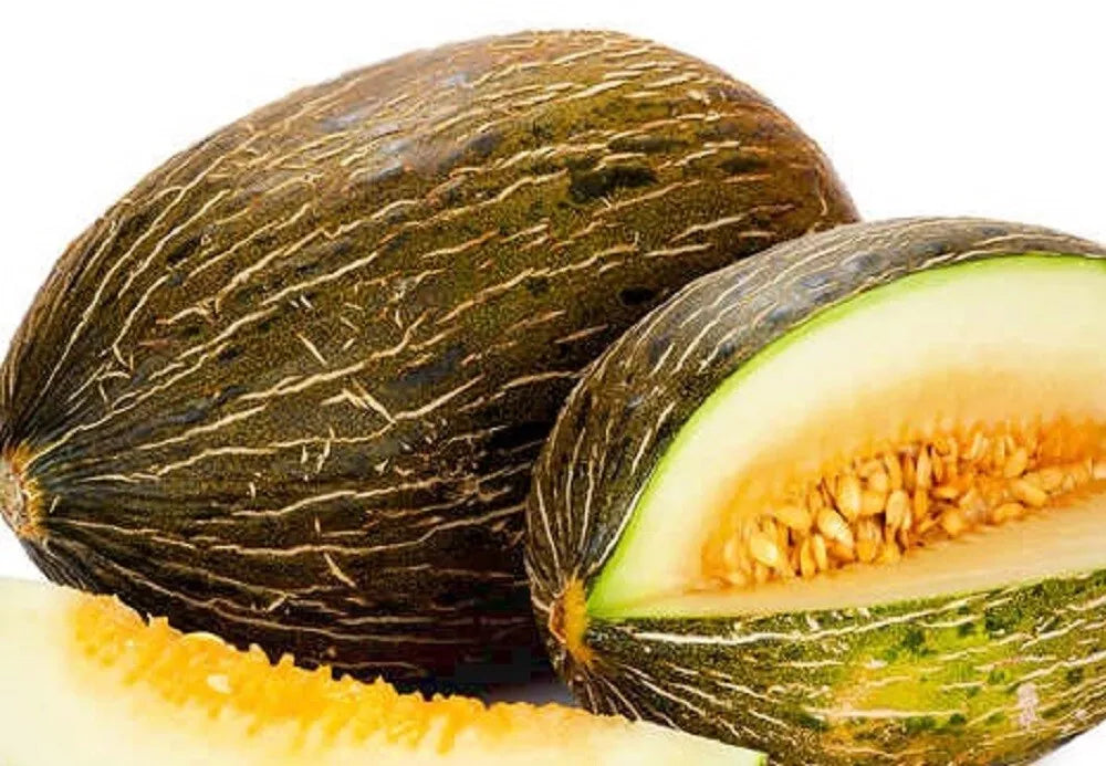 Piel de Sapo Melon Seeds | NON-GMO Heirloom Seeds | Cucumis melo