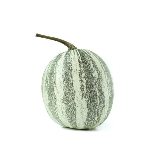 Silver-Edged Pumpkin Seeds Pack of 25+ | Cucurbita pepo Heirloom Non-GMO Garden Seeds for Fall Decorations & Cooking