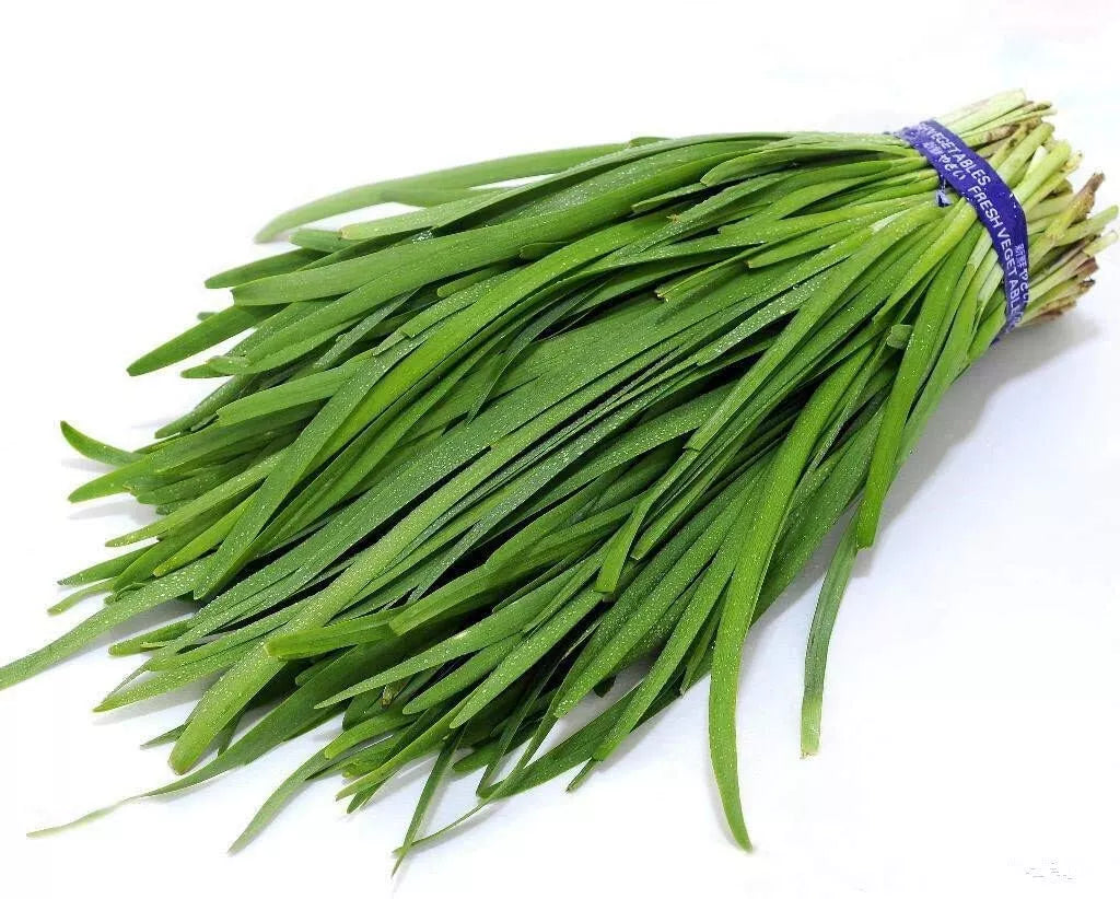 Garlic Chives Seeds 250 Count - Allium tuberosum Heirloom Herb for Culinary Gardens - Non-GMO, Easy to Grow