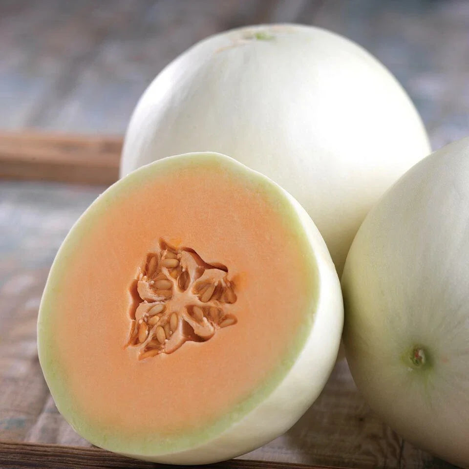 Orange Honeydew Melon Seeds – Heirloom Non-GMO Organic Cucumis melo for Home Garden, Juicy, Sweet Melons