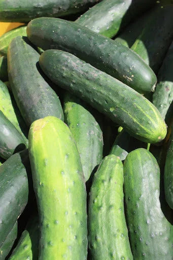 Cucumber Seeds 25+ Count Marketmore Variety - Heirloom Non-GMO Seeds for Home Gardening USA