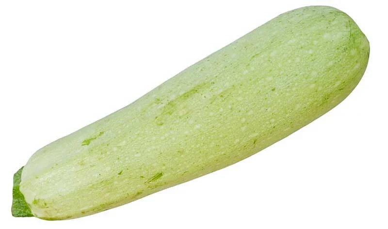 Lebanese Squash Seeds - 25+ Pack - Cucurbita pepo - Non-GMO, USA Grown