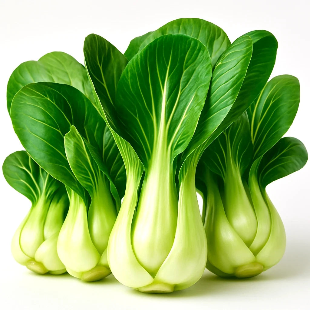 Pak Choi Seeds Pack of 1200+ Heirloom Chinese White Cabbage Microgreens Brassica rapa subsp. chinensis