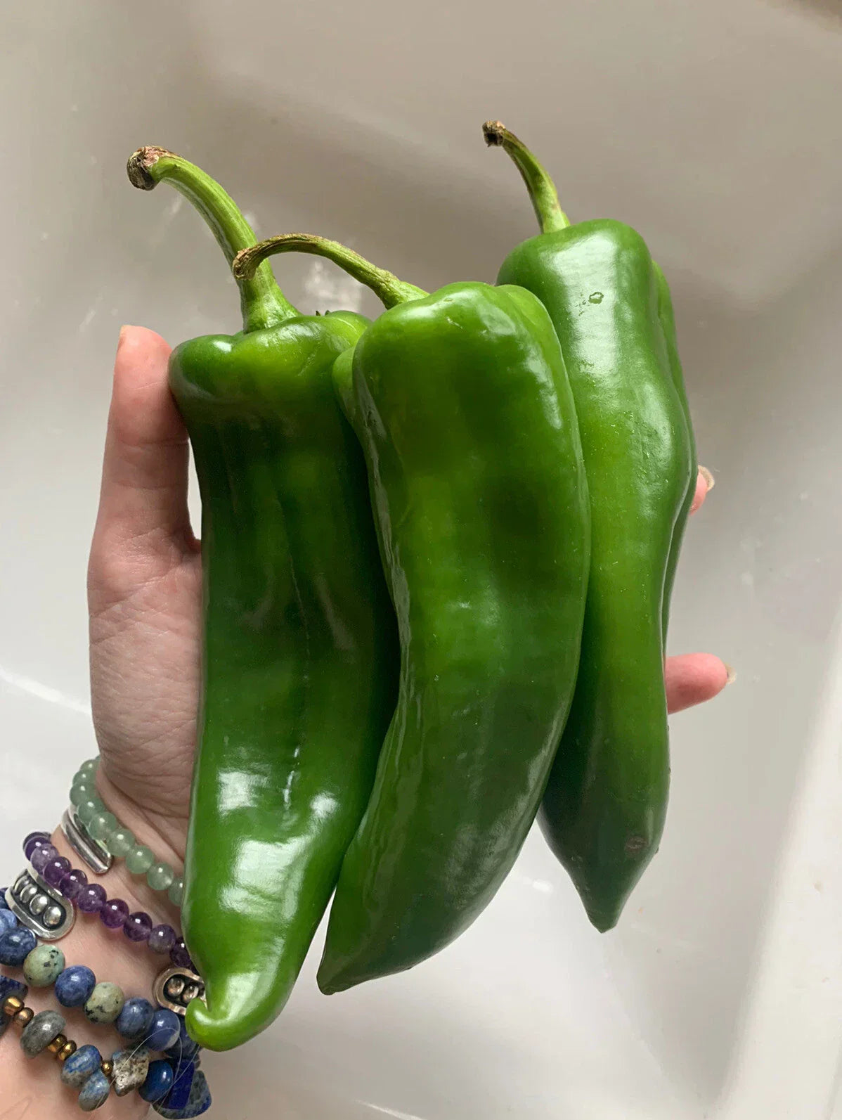 25 Organic Anaheim Chile Hot Pepper Seeds - NON-GMO Heirloom Capsicum annuum
