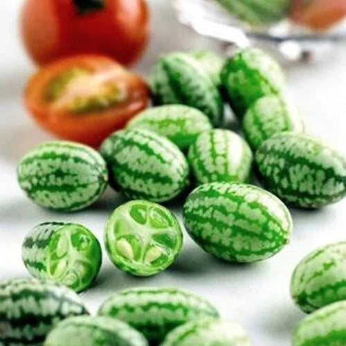 Organic Cucamelon Seeds - 20 Non-GMO Melothria Scabra for Home Gardening, Mini Watermelon, Vining, Container Planting