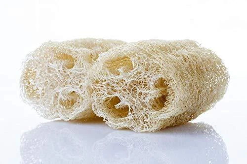 Sponge Gourd Seeds - 20 Pack, Luffa aegyptiaca, Climbing Vine, Organic Exotic Vegetable for Gardening