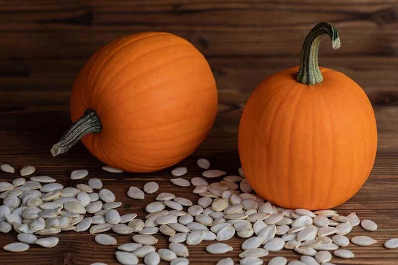 Autumn Gold Pumpkin Seeds – 25+ Pack for Gardening, Cucurbita pepo, Fall Harvest, Non-GMO, USA Free Shipping