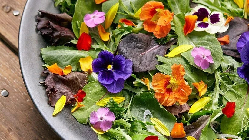 Edible Flower Seed Mix - 100 Organic Seeds - USA Grown Colorful Varieties