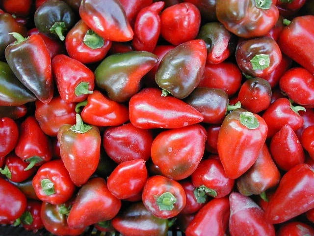 Sweet Pepper Seeds - Pimento L Variety - Heart-Shaped Capsicum annuum - 100 Count Packet