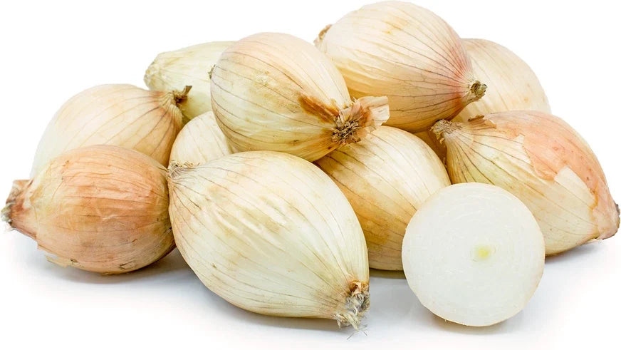 Maui Onion Seeds - 500+ Non-GMO Garden Seeds for Planting - Allium cepa Bulb-Forming Onion Seeds