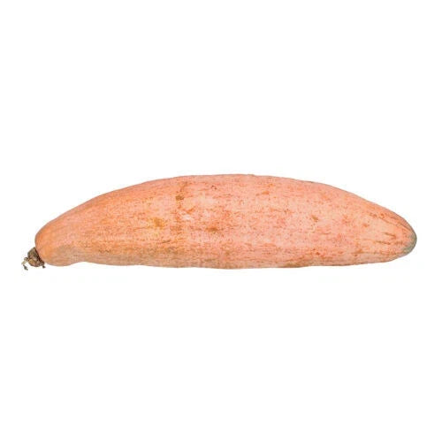 Banana Squash Seeds 25+ Cucurbita maxima Heirloom Garden Planting Non-GMO Free Shipping