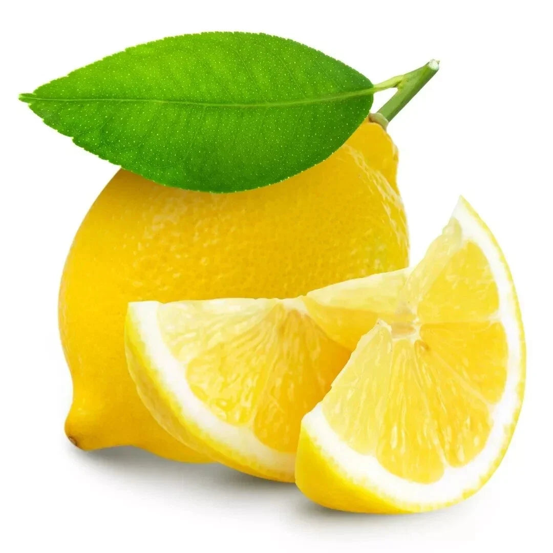 Lemon Seeds 15 Pack | Citrus limon | Dwarf Tree for Small Gardens & Containers | USA Grown 2024