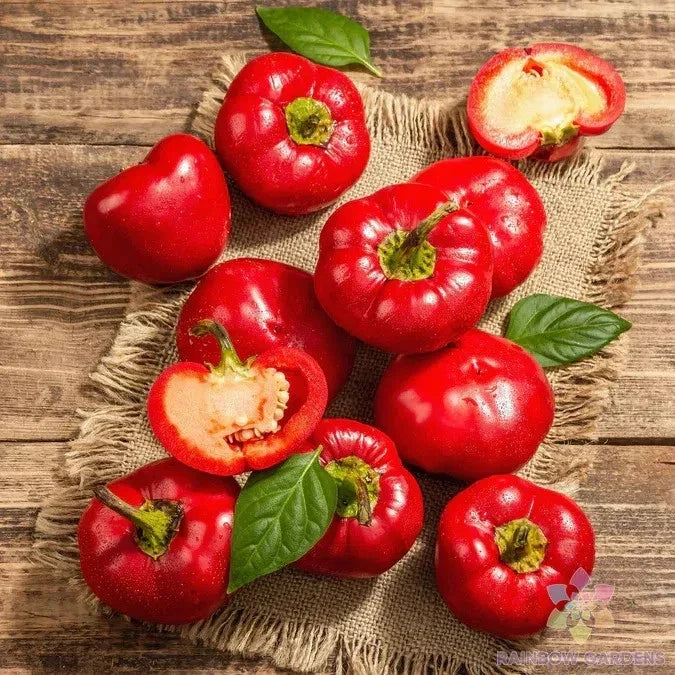 Alma Spicy Paprika Sweet Pepper Seeds – Capsicum annuum, Heirloom Garden Seeds for Home Gardening, Compact Bush, Full Sun