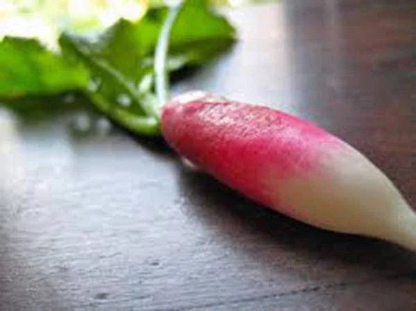 Heirloom Root Vegetable Seed Collection - 5 Non-GMO Varieties for Home Garden