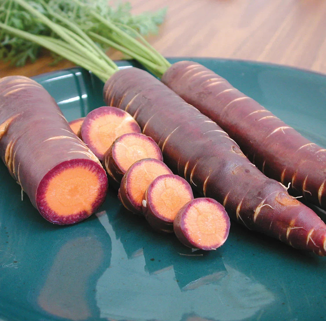 Purple Dragon Carrot Seeds - 100+ Heirloom Organic Non-GMO Daucus carota