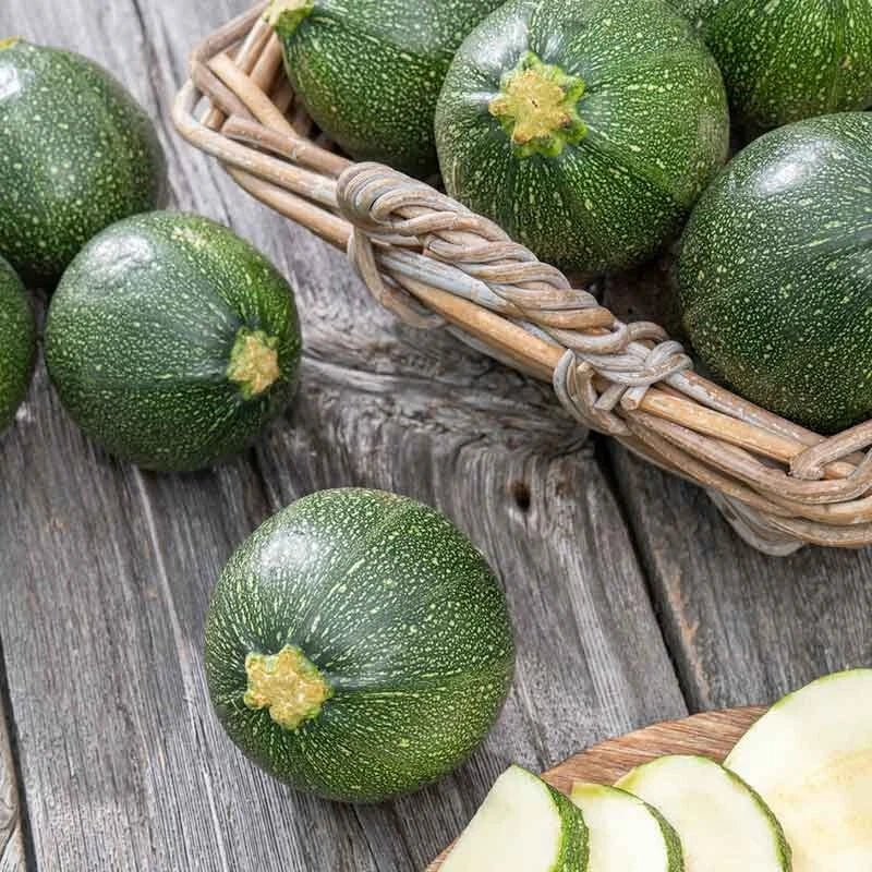Round Zucchini Seeds - 20 Premium Cucurbita pepo Summer Squash Seeds for Home Garden, Non-GMO, Fast-Germinating, Bush Type