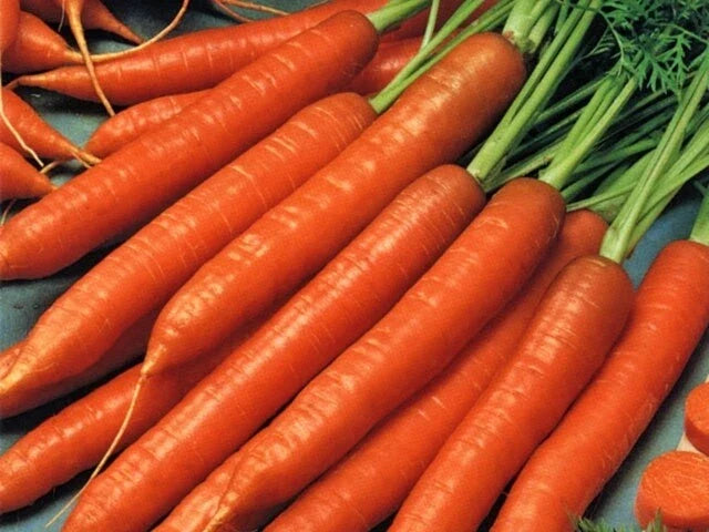 Scarlet Nantes Carrot Seeds - 20,000 Non-GMO Heirloom Daucus carota, Sweet & Crispy, Full Sun, Easy to Grow, Organic Gardening