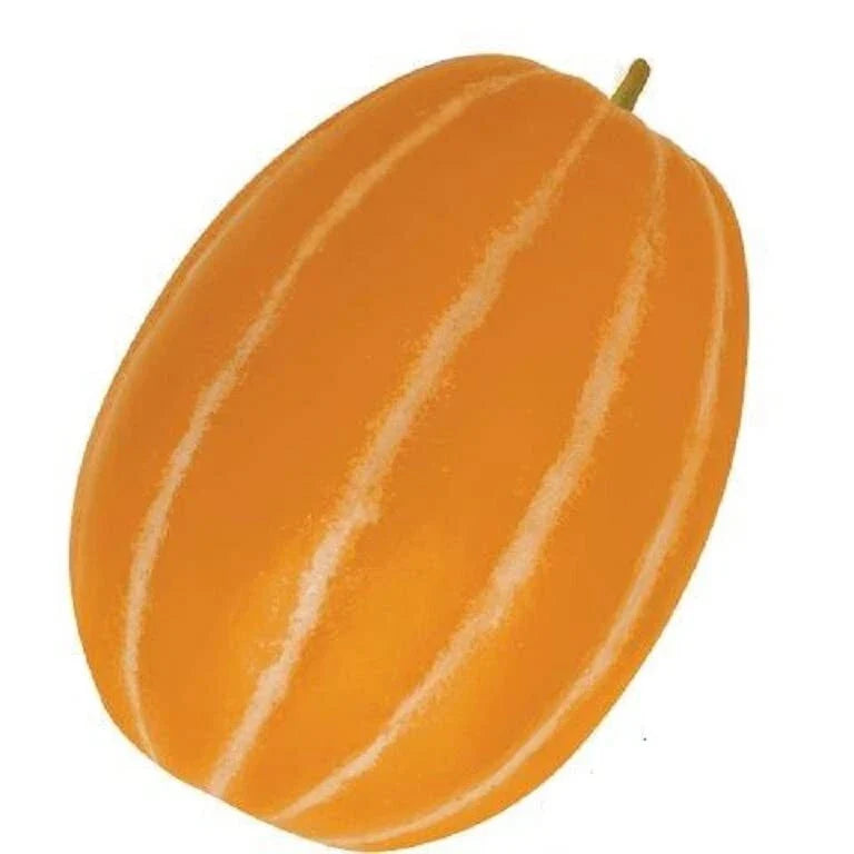 Korean Melon Seeds - 10 Pack - Orange Skinned Dae Jang Geum Cucumis melo var. makuwa for Home Garden & Container Growing