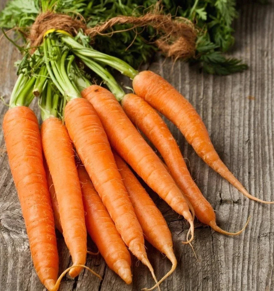 Tendersweet Carrot Seeds - 200+ Non-GMO Heirloom Organic Seeds | Daucus carota