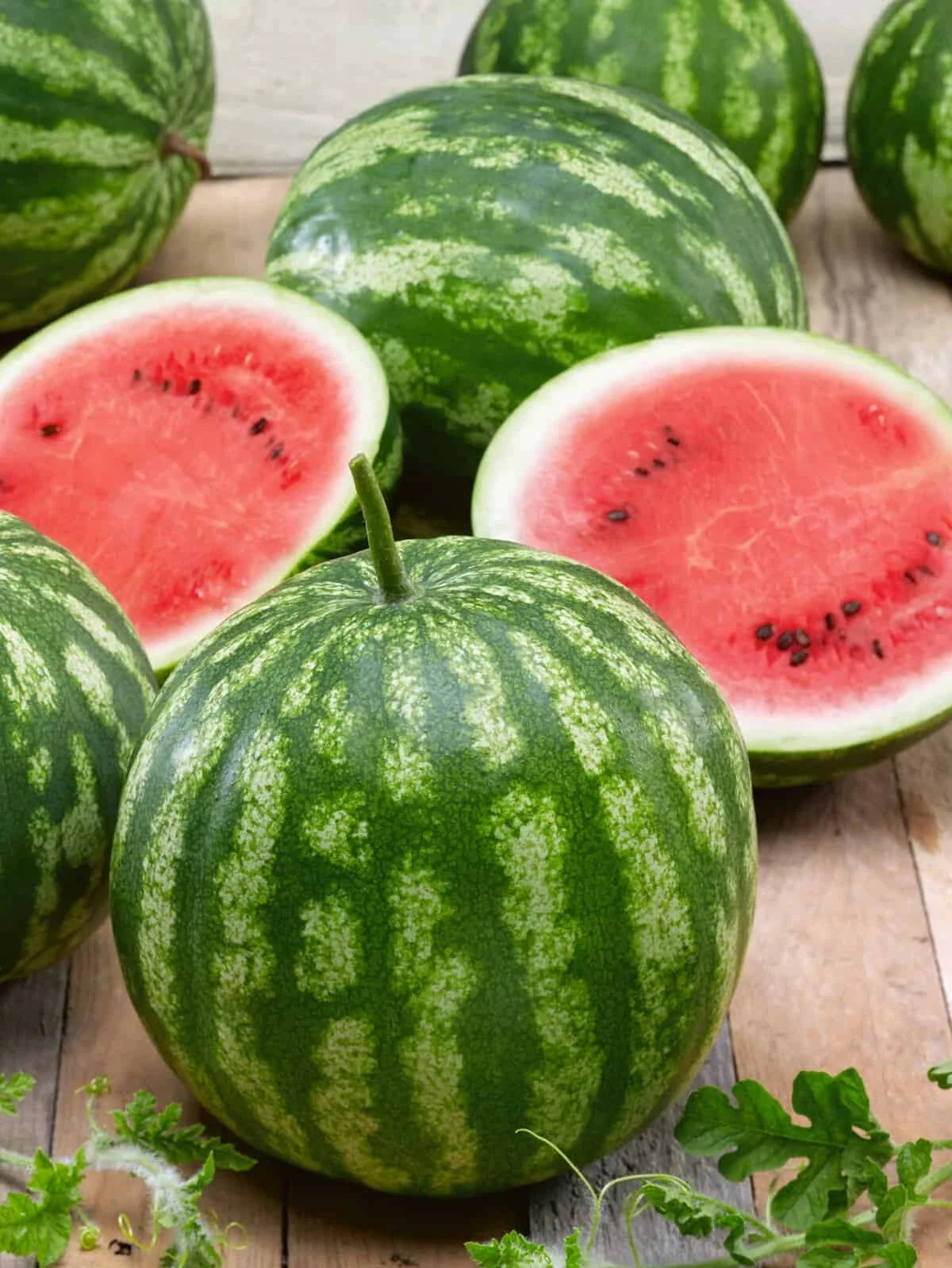 Cal Sweet Bush Watermelon Seeds – Compact Citrullus lanatus for Home Garden, 50+ Pack, USA Grown, Non-GMO, Free Shipping
