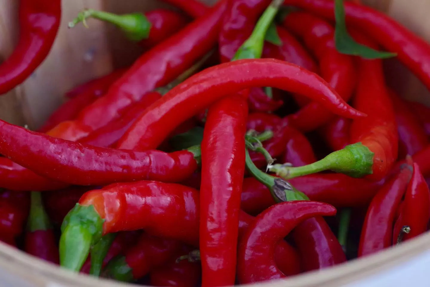 Red Thin Hot Pepper Seeds - Erjintiao Capsicum annuum for Spicy Cooking & Gardening, 30+ Seeds Pack