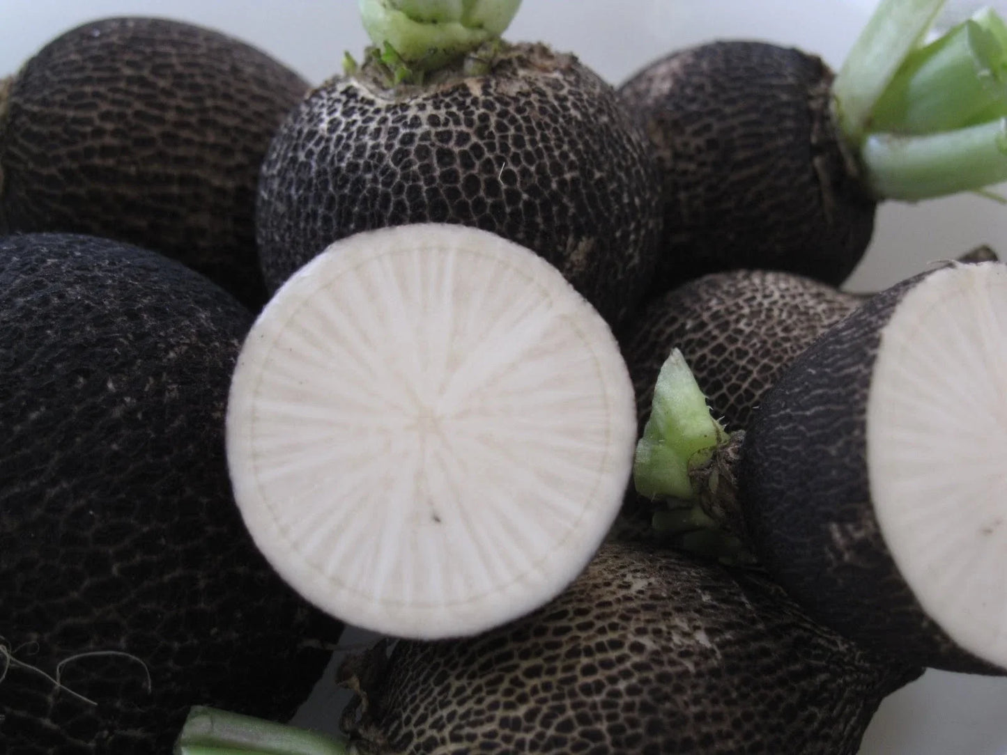 Black Spanish Radish Seeds - Heirloom Raphanus sativus for Salad, Pickling & Container Gardening