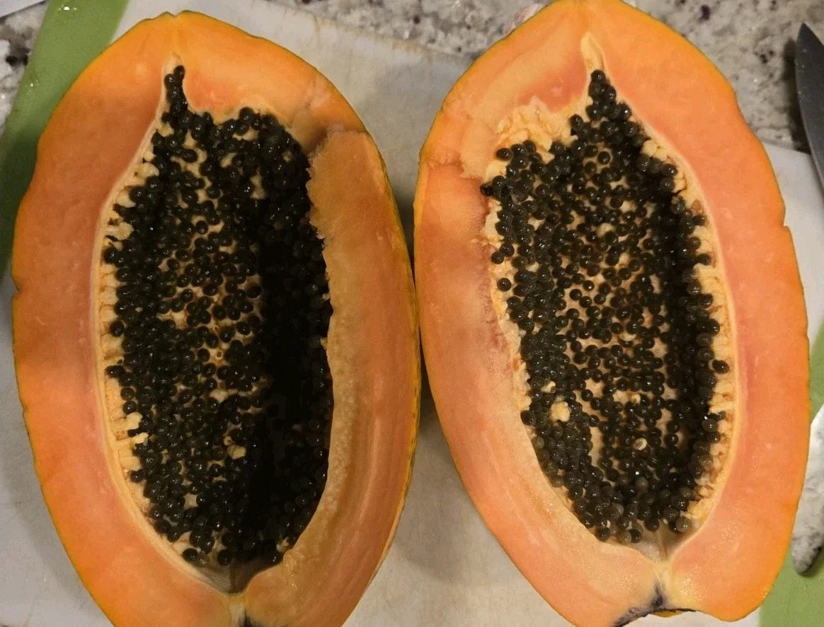 Red Heart Creamy Papaya Seeds - 50 Fresh Carica papaya Seeds for Home Garden