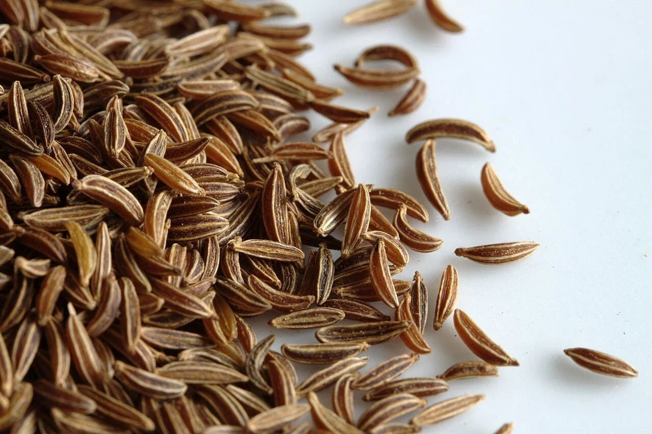 Caraway Seeds 1,000 Count Non-GMO for Growing Meridian Fennel & Persian Cumin