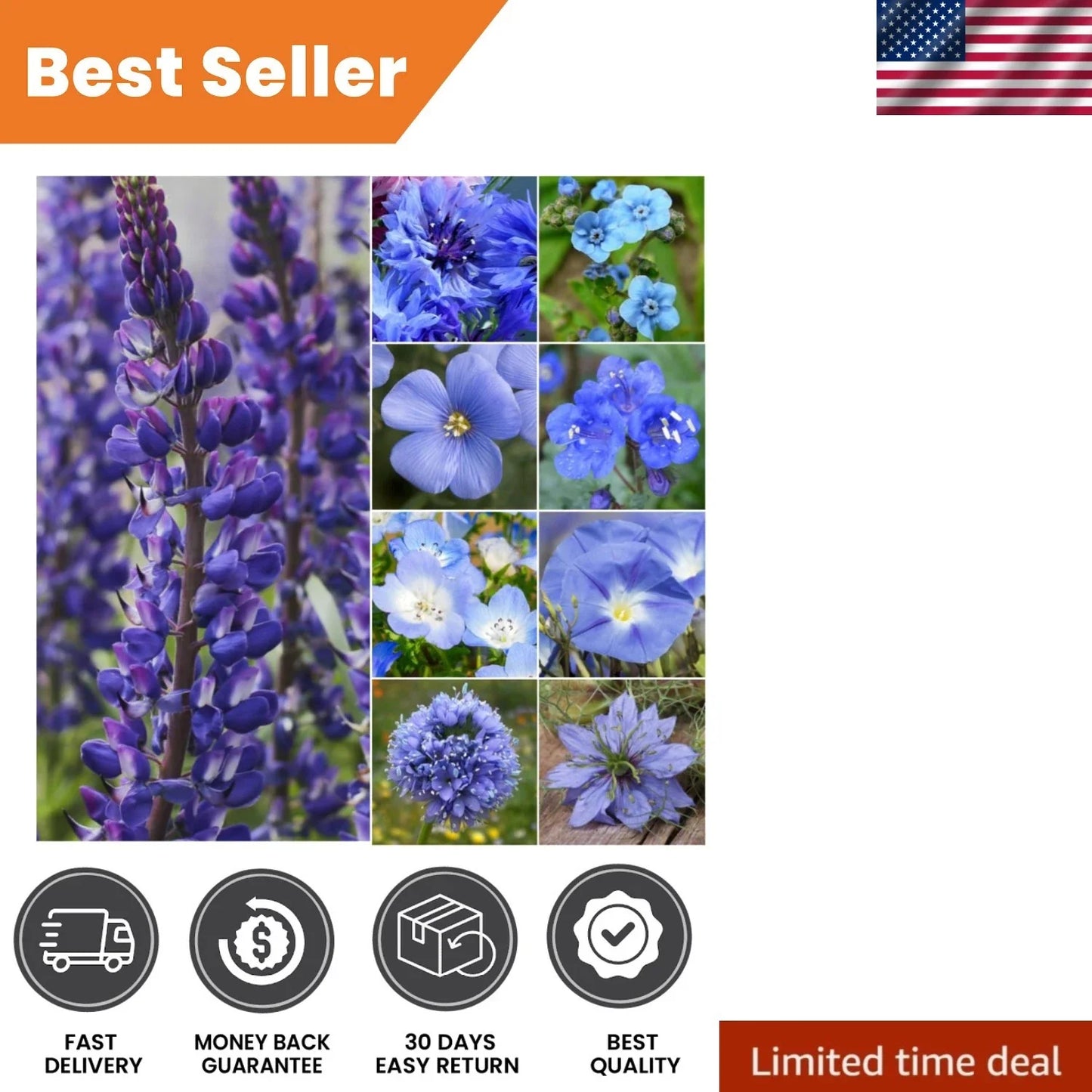 Mixed Wildflower Seeds - 30,000+ Butterfly & Bee Attracting Native Wildflower Blend for Gardens & Meadows